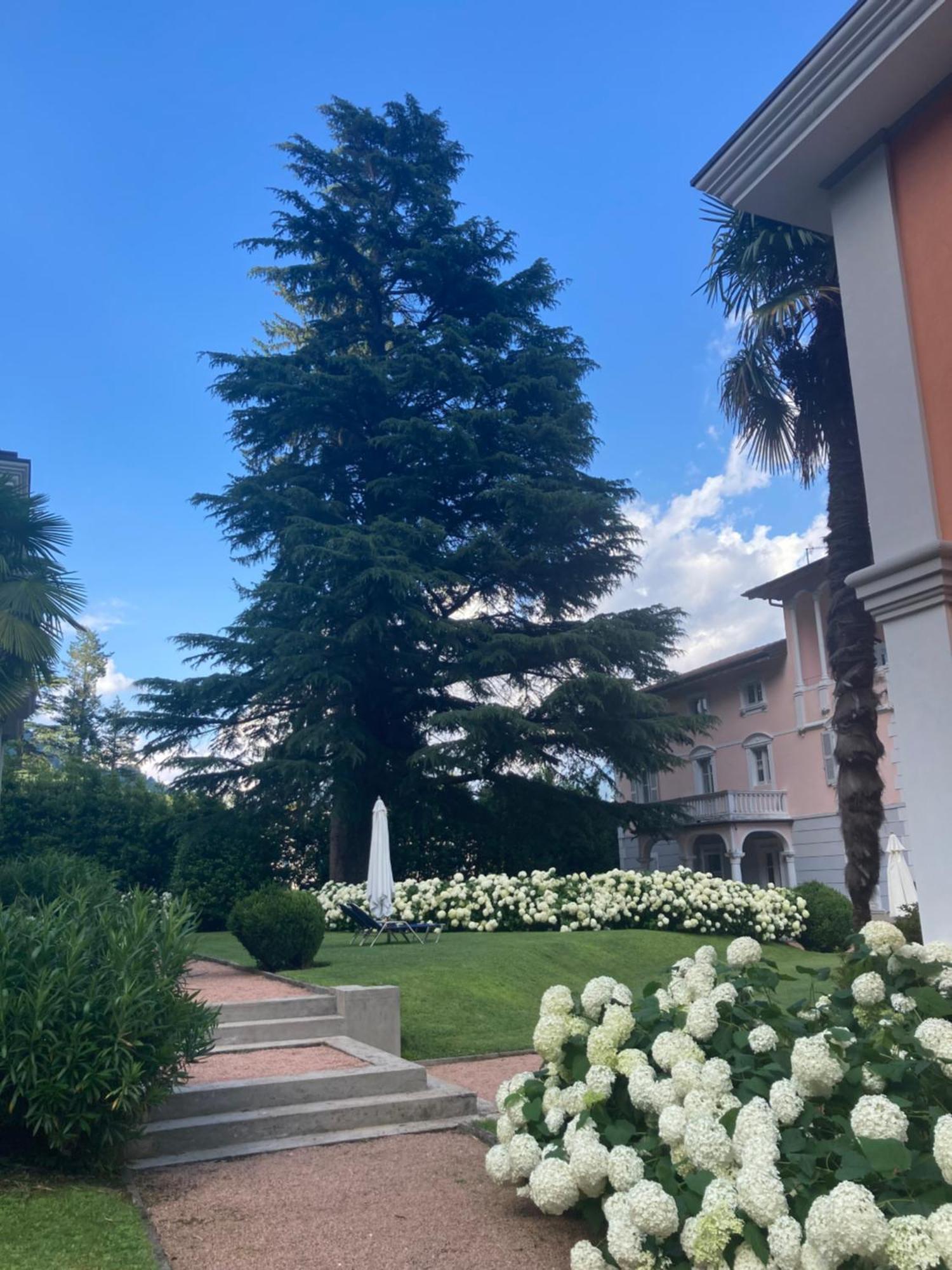 פורטו צ'רזיו Ville Lago Lugano מראה חיצוני תמונה